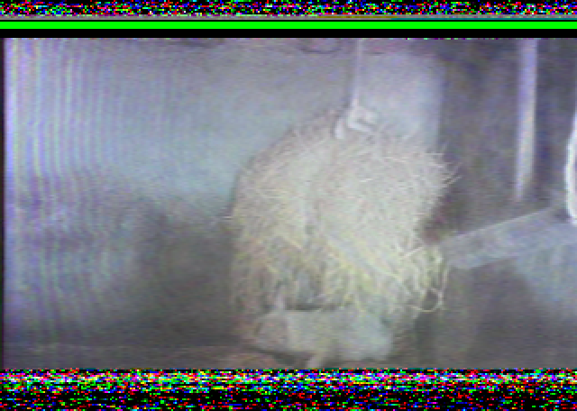 Weixin Image_20260211211747_118_21.png