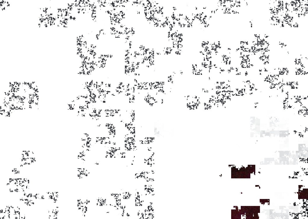3d3d8b1f-bce9-4964-9683-5b819921cb72-image.jpeg
